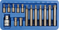 ZESTAW BITÓW TORX T20-T55 15 SZTUK