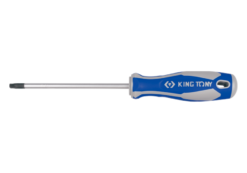 WKRĘTAK TORX Z OTWOREM T27 6.0*100